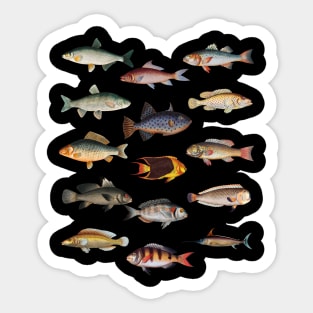 My Lucky Fishing Costume - Freshwater Fish Bass Sticker